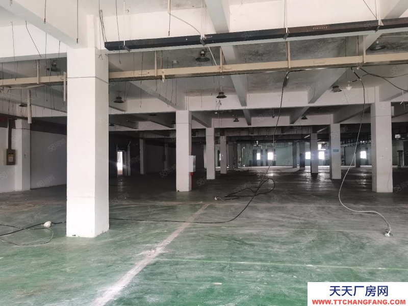 (出租) 南岸茶園工業園2200平米一樓廠房出租