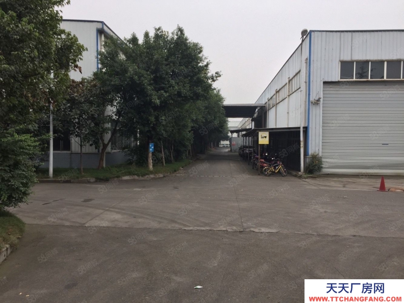 (出租) 茶園玉馬路倉庫廠房出租4000(可分零)(可臨租)