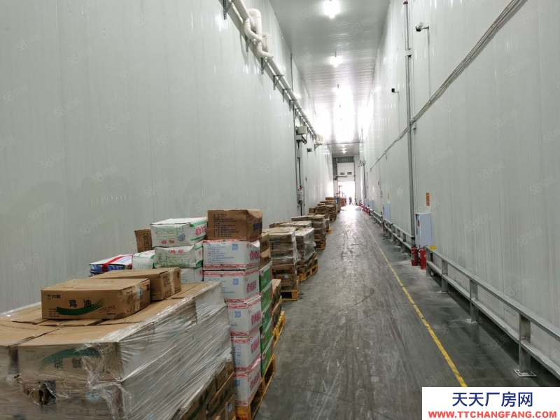 (出租) 出租凍庫冷庫冷藏庫5萬平租3年免1年可分零