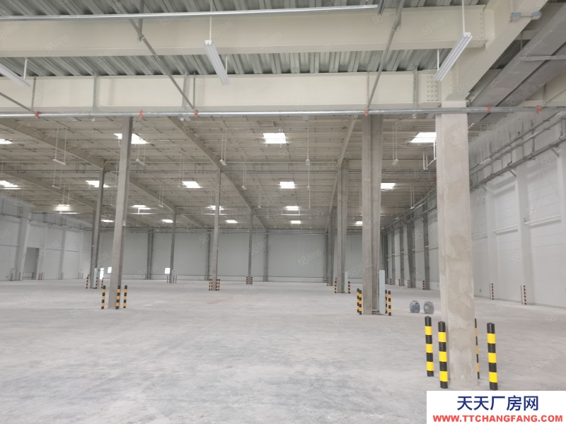 (出租) 沙坪壩大學(xué)城8500平標(biāo)準(zhǔn)倉(cāng)庫(kù)出租