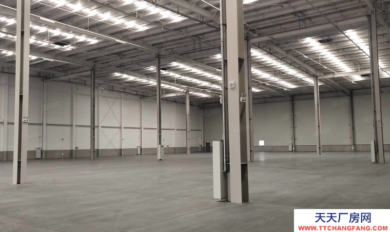 (出租) 沙坪壩土主標(biāo)準(zhǔn)倉庫2000平起出租