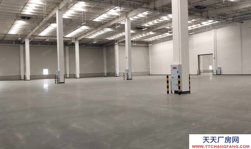 (出租) 沙坪壩土主標(biāo)準(zhǔn)倉庫2000平起出租