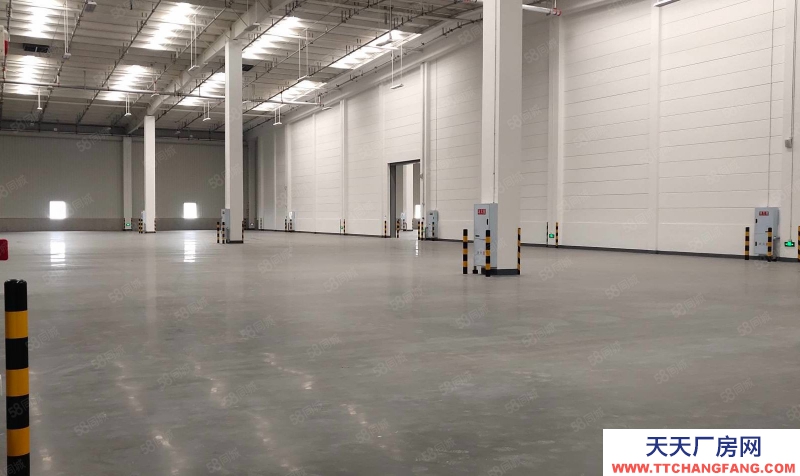 (出租) 沙坪壩土主標(biāo)準(zhǔn)倉庫2000平起出租