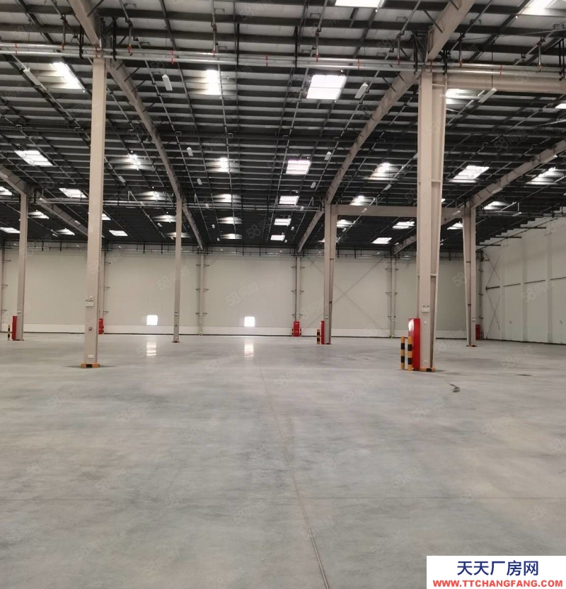 (出租) 沙坪壩西部物流園20000平米丙二類倉庫出租,2000起租