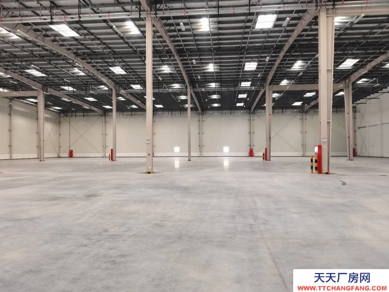 (出租) 沙坪壩西部物流園20000平米丙二類倉庫出租,2000起租