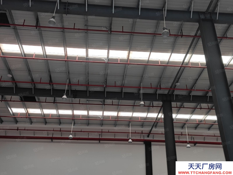 (出租) 沙坪壩區(qū)土主國際物流園區(qū)丙一級多功能公共倉招租