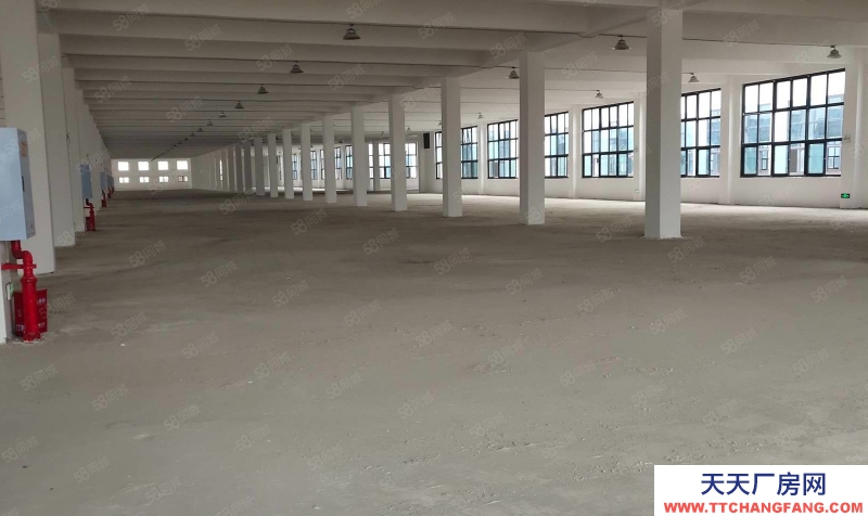 (出租) 沙坪壩雙碑地鐵站附近倉庫出租500起分租