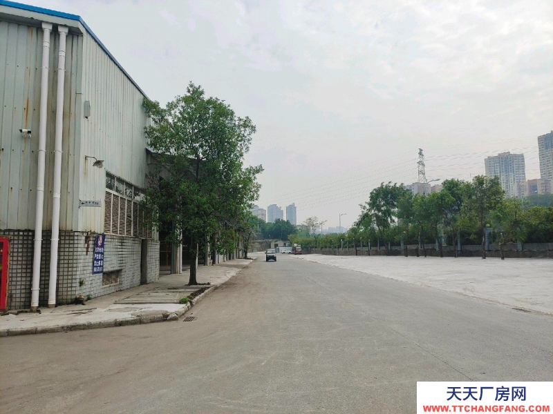 重慶九龍坡標準廠房 門口可進大車