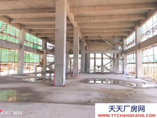 長沙市岳麓區準現房！長沙高新區精品小獨棟，可研發生產辦公倉儲多功能使用