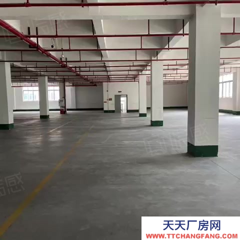 重慶江北江北寸灘大橋1400平米街庫房低價出租