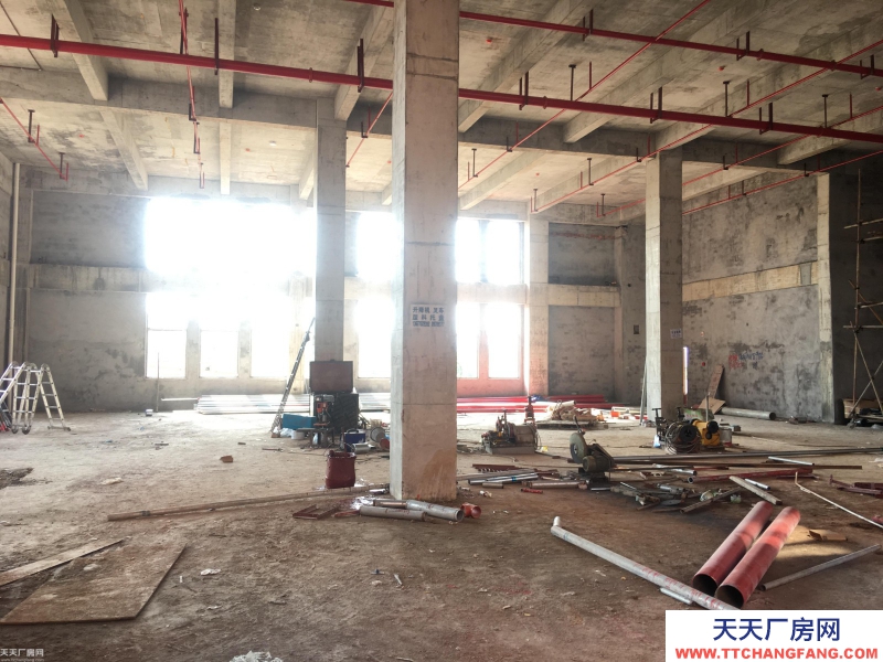 長沙市岳麓區(qū)含浦300-5000平標準廠房出租