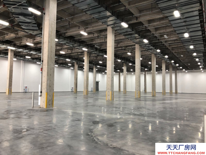 重慶江北標(biāo)準(zhǔn)庫10000平 樓上十塊