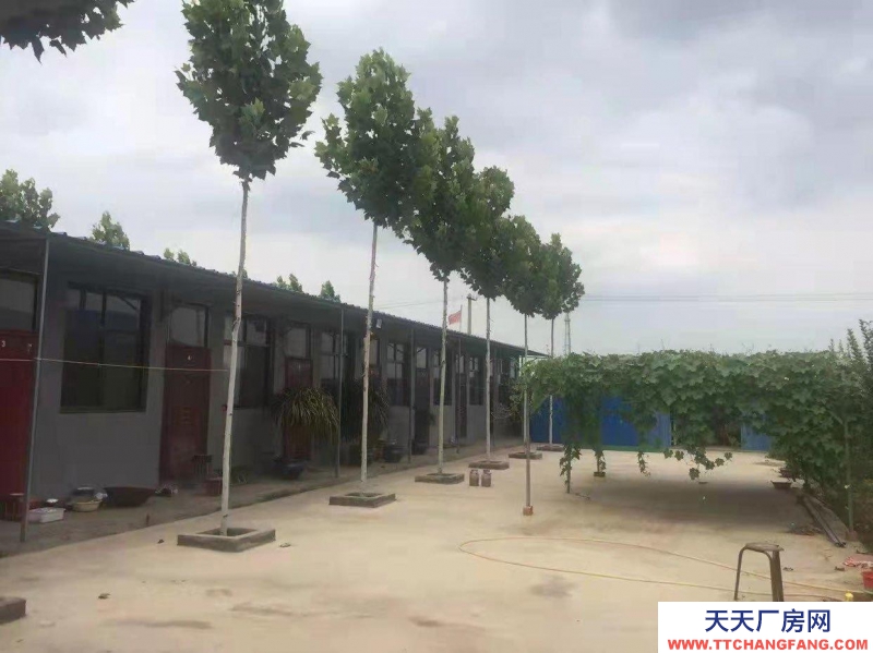 石家莊長安溫室大棚，果樹園，羊圈牛棚雞舍等