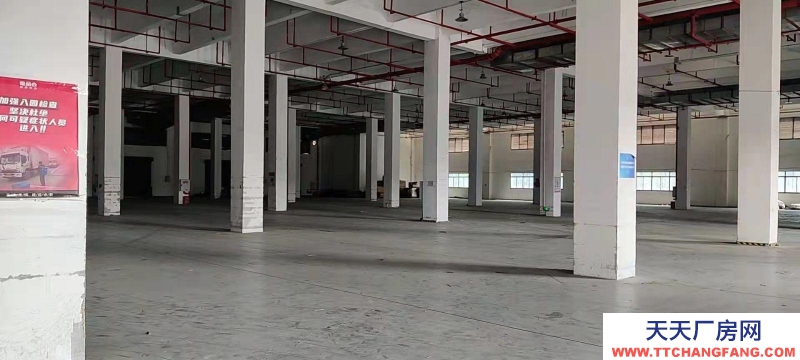 重慶江北寸灘5000方標(biāo)準(zhǔn)倉庫帶空壩可分租