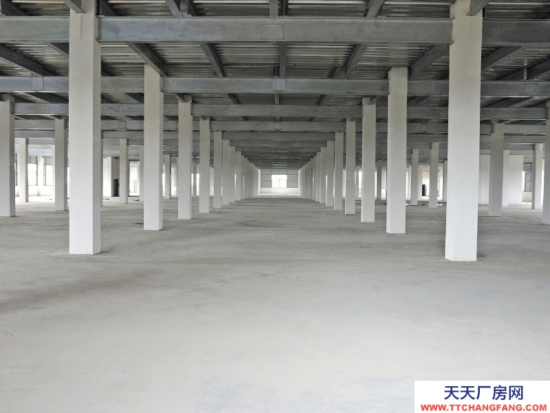 (出租) 廣州白云高標(biāo)倉(cāng)外貿(mào)裝柜大貨臨租，送免租期，隨租隨退