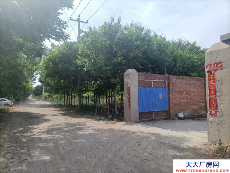 石家莊長安區(qū) 南村鎮(zhèn) 大豐屯村廠房庫房出租