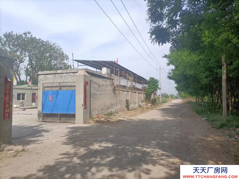 石家莊長安區 南村鎮 大豐屯村廠房庫房出租