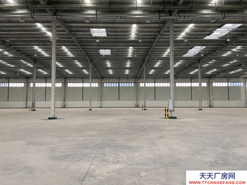 重慶渝中核心區30公里高標庫9萬平米獨門獨院1000平米起租