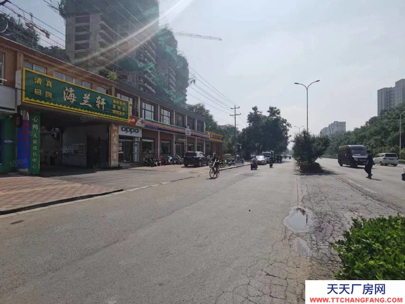 石家莊橋西區(qū) 新華西路 辦公樓 獨院 出租