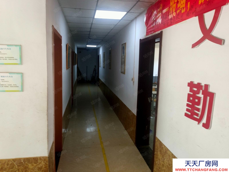 石家莊橋西安聯(lián)青年城西門,獨院3500平出租,適合培訓學校,辦公廠房等