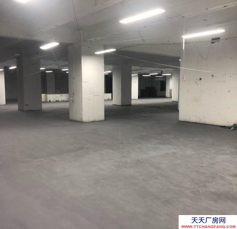 重慶渝中區(qū) 地段優(yōu),離朝天門(mén)市場(chǎng)近,進(jìn)出貨方便。