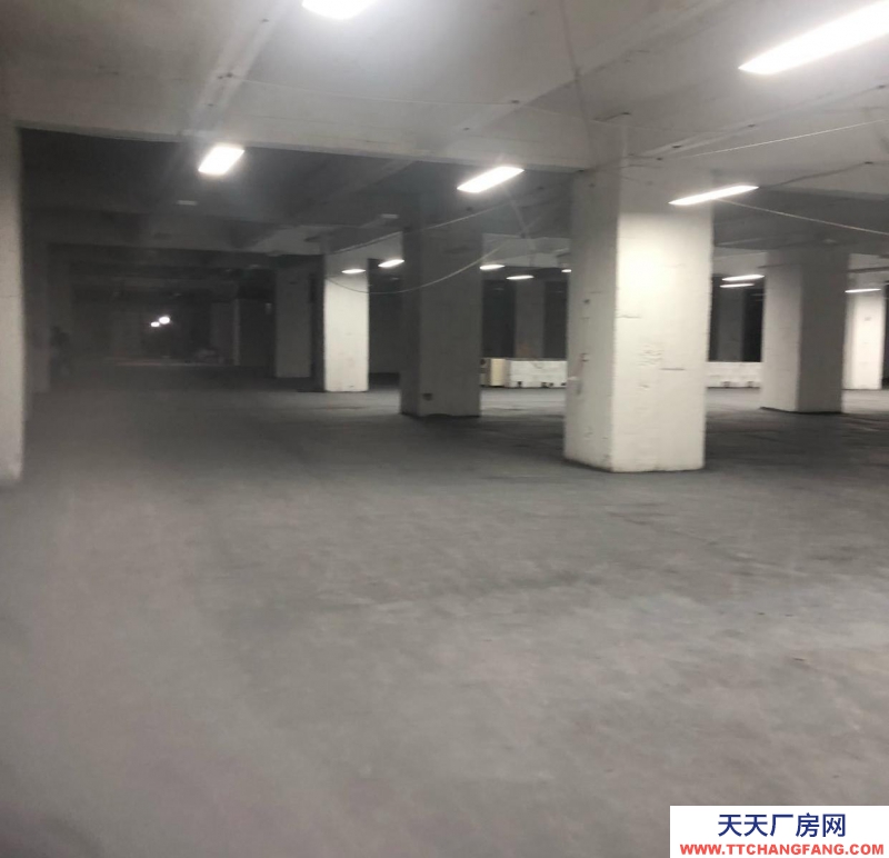 重慶渝中區(qū) 地段優(yōu),離朝天門(mén)市場(chǎng)近,進(jìn)出貨方便。