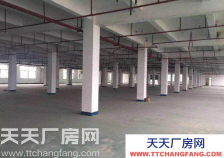 (出租) 個人 福州倉山區(qū)高旺路 吉諾汽車集團(tuán) 廠房優(yōu)惠出租