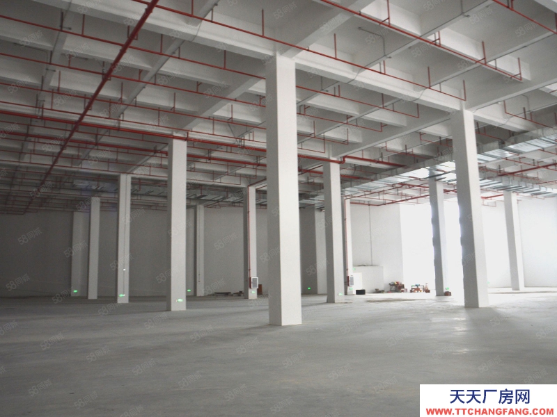 (出租)廣州白云 物流倉庫，分割58平起租，B2B一件代發(fā)，托管常溫倉