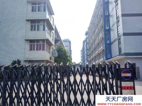 武漢江岸(出租) 黃陂2000平電商產(chǎn)業(yè)園倉庫出租廠房招租大小都有