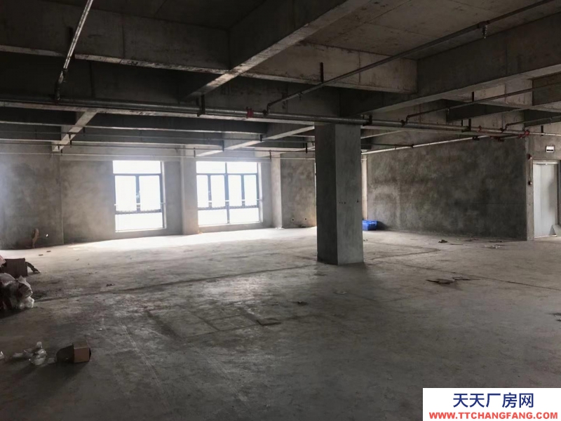 重慶渝中區(qū)菜園壩外灘摩配商場庫房。