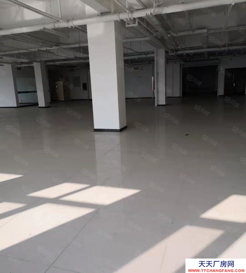 石家莊橋西南繞城高速口產(chǎn)業(yè)園區(qū),強(qiáng)力推薦獨(dú)棟廠房 首層7.2米高,