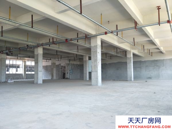 武漢江岸(出售) 雄新產業園即將交房,帶單獨衛生間和電梯,每層可辦證