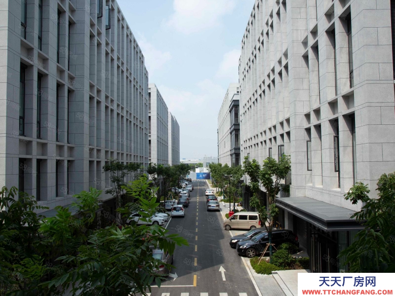 (出售) 準現樓！離鴉崗25分鐘終車程國有五十年紅本