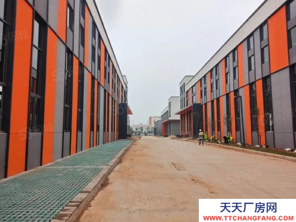 武漢江岸(出售) 長江新區產業新城 獨棟鋼構廠房,層高11米,帶行車