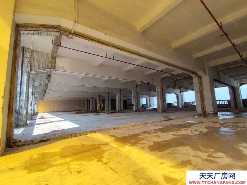 (出租) 廣州荔灣業主直租!4500方廠房可以自由分割,靈活多變,采光好!