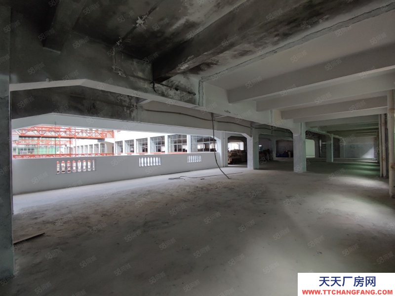 (出租) 廣州荔灣業主直租!4500方廠房可以自由分割,靈活多變,采光好!
