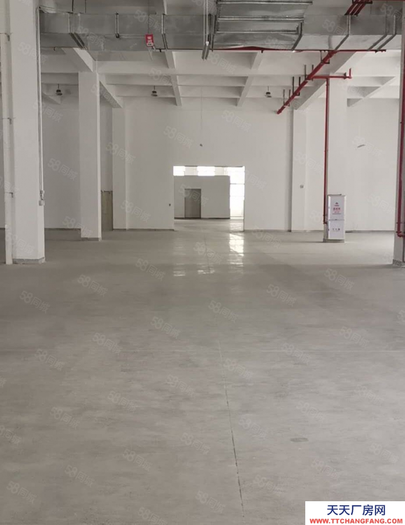 (出租) 福州倉山區(qū)房東出租 高新區(qū)6萬平全新廠房招商 框架結(jié)構(gòu)5萬平方，帶卸貨