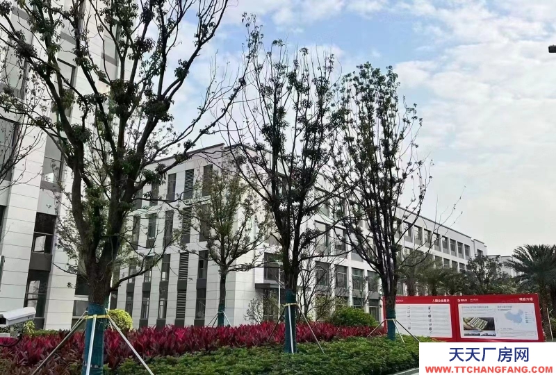 (出租) 出租 開發(fā)商直租無中介