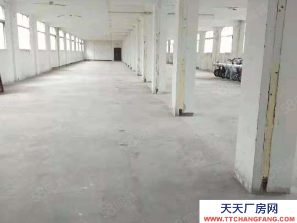 武漢江岸(出租) 出租 倉庫直租 面積自選 租期自由 有大有小 車到倉庫 獨立