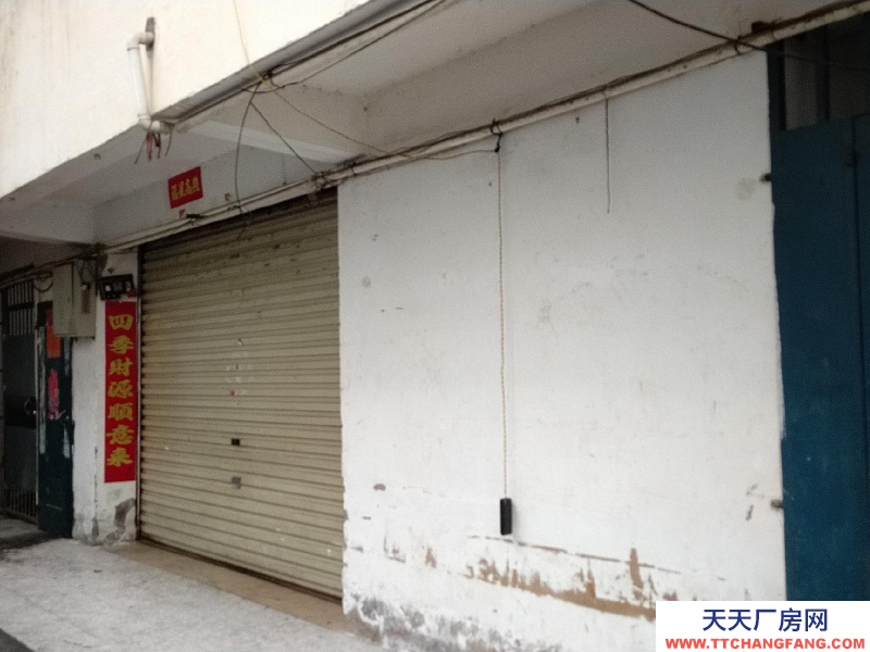 南寧市青秀區出租村集體土地，目前為本人承包管理。