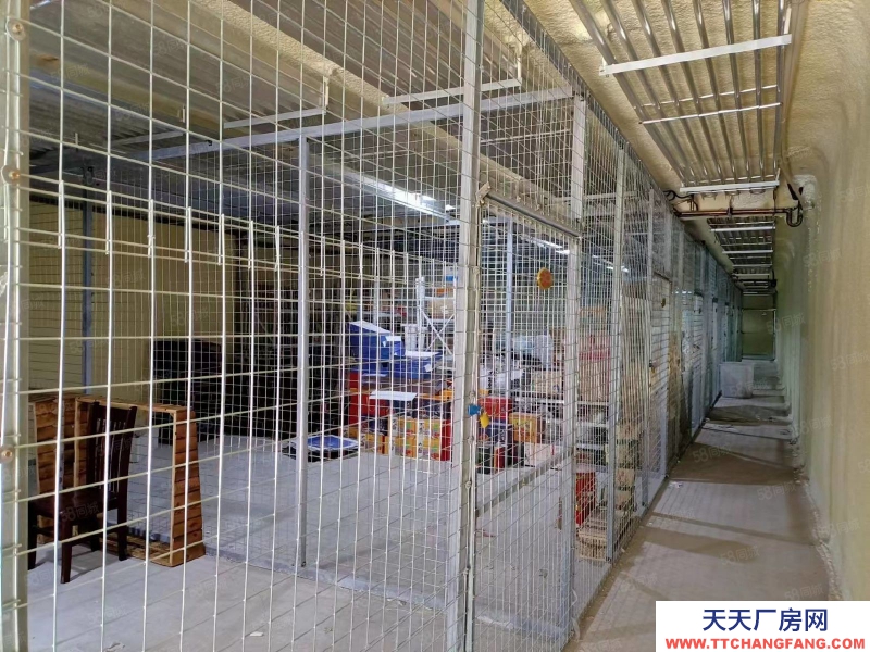 石家莊橋西區 勝利南街元南路 冷庫出租轉讓