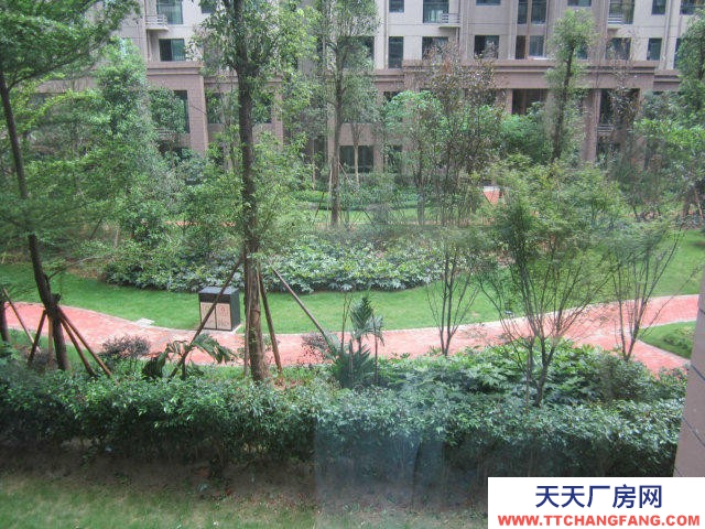 南寧市青秀區鳳嶺北出租榮和大地二組團3-B-202房