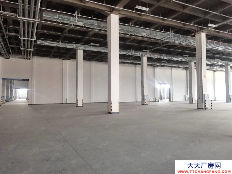 重慶北碚 蔡家工業園20000平米一樓丙類廠房倉庫出租