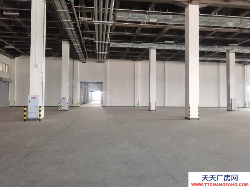 重慶北碚 蔡家工業園20000平米一樓丙類廠房倉庫出租