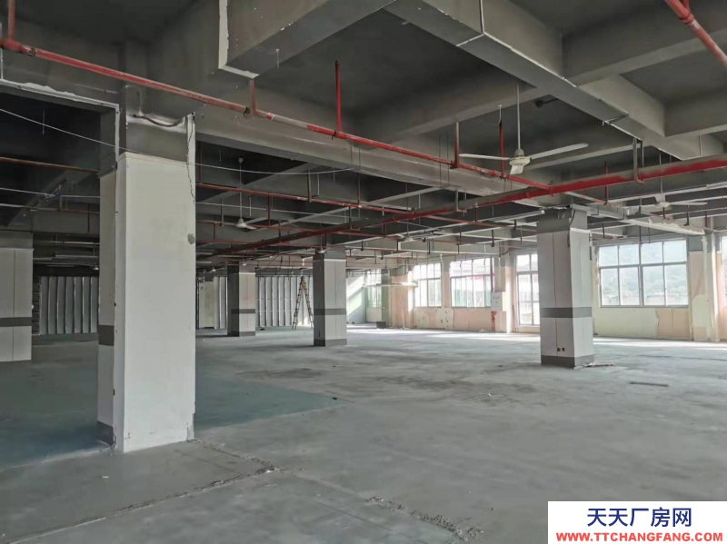 (出租) 福州倉山區(qū)房東直租 送超大露臺 有客梯貨梯 適合辦公+倉儲或展廳