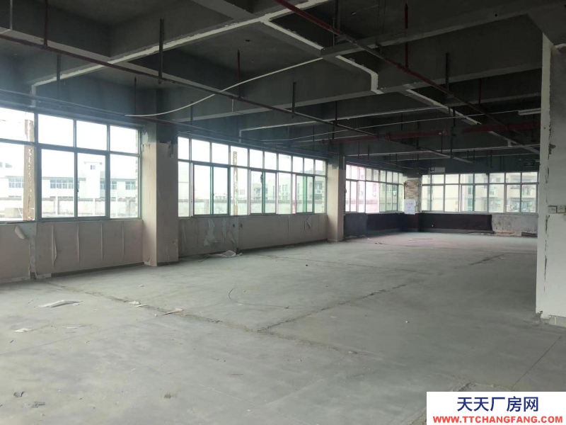 (出租) 福州倉(cāng)山區(qū)房東直租 送超大露臺(tái) 有客梯貨梯 適合辦公+倉(cāng)儲(chǔ)或展廳