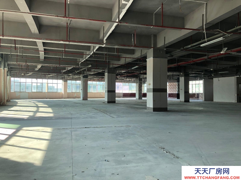 (出租) 福州倉山區(qū)房東直租 送超大露臺 有客梯貨梯 適合辦公+倉儲或展廳