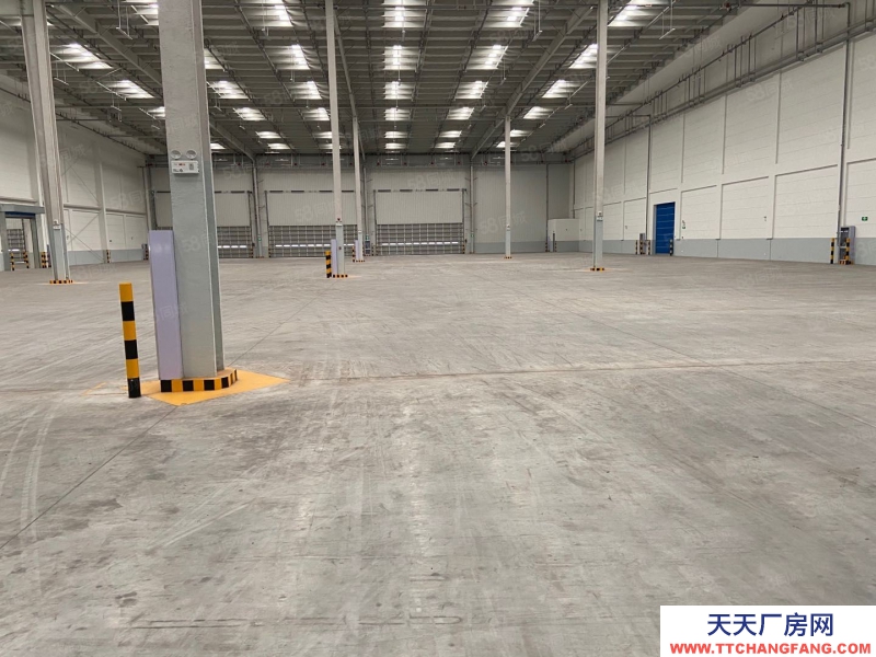 (出租) 重慶庫房出租，蔡家物流園5000平米高臺庫對外招租