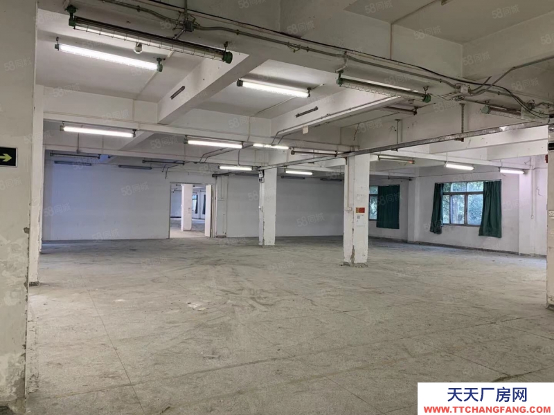 (出租) 荔灣區芳村龍溪大道廠房倉庫出租