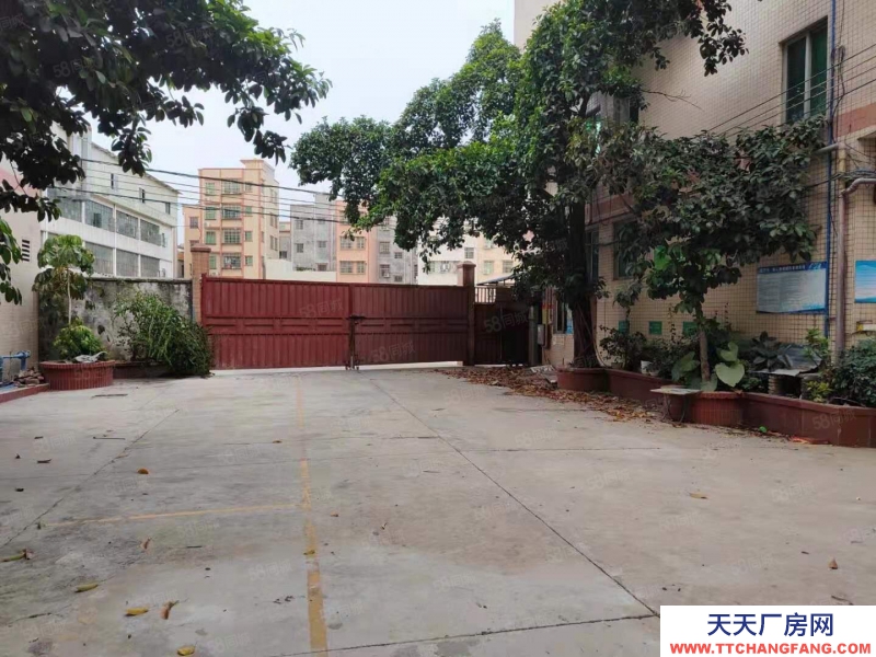 (出租) 荔灣區芳村龍溪大道廠房倉庫出租